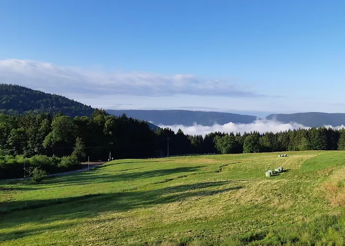 Apartmán Le Du Gru *